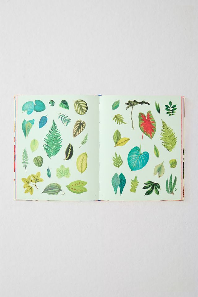Livre d'autocollants Extraordinary Things par Maria Rivans #1