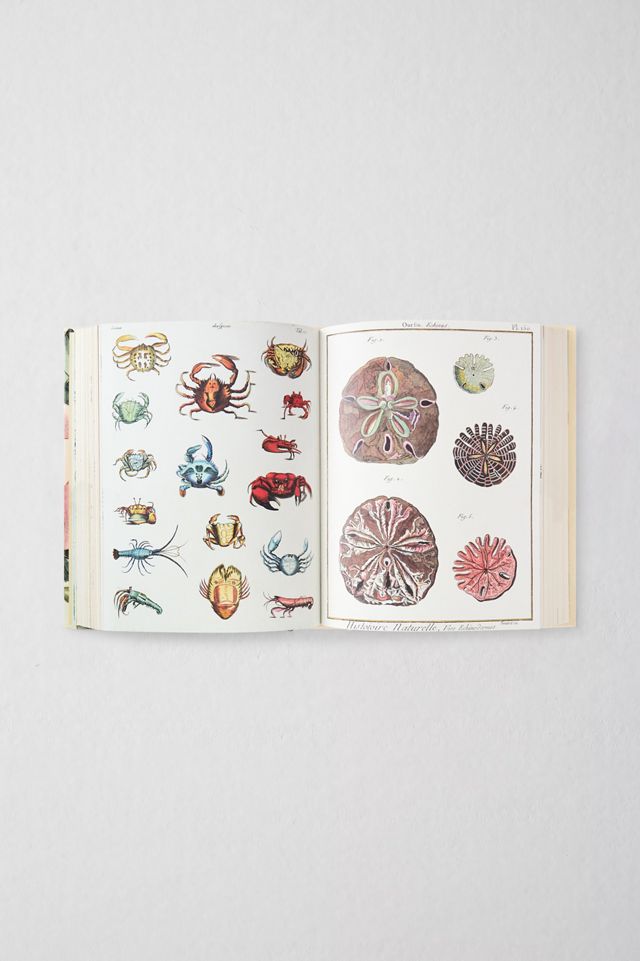 John Derian Stickerbuch II #1