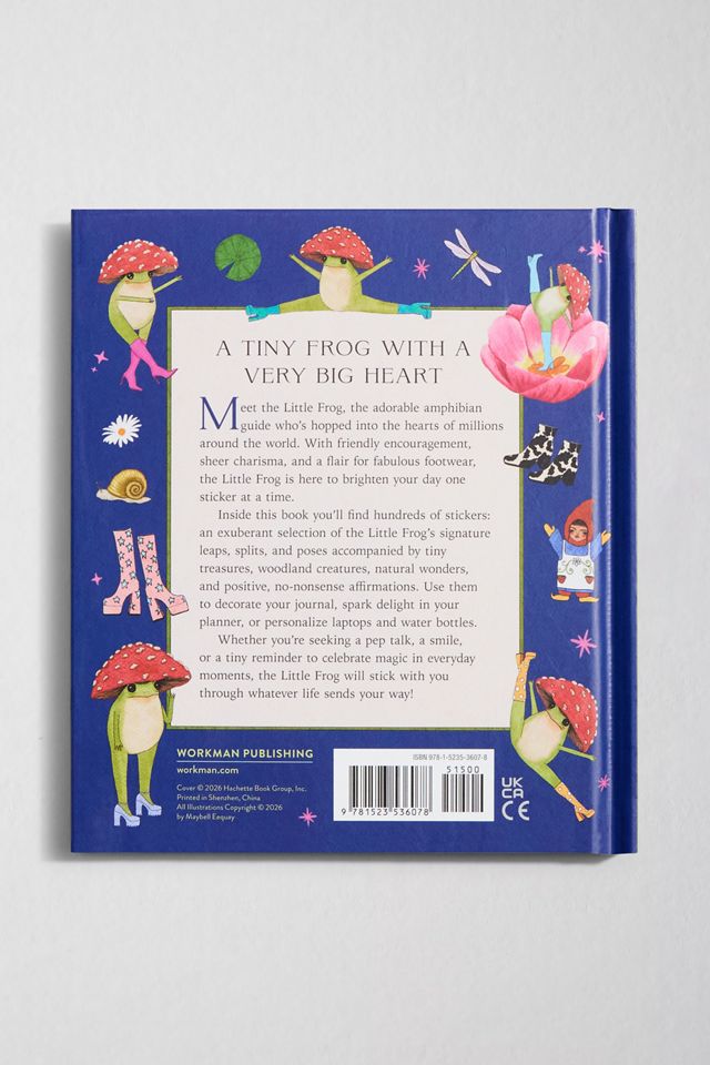 Le livre d'autocollants de la petite grenouille par Maybell Eequay #3