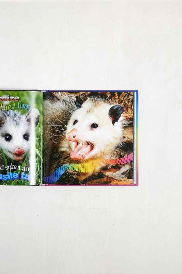 No Thoughts Just Possums By Sylvie #1