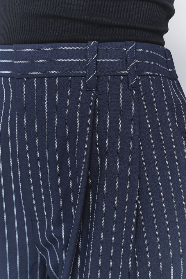 Light Before Dark Pinstriped Pleated Front Trousers #4