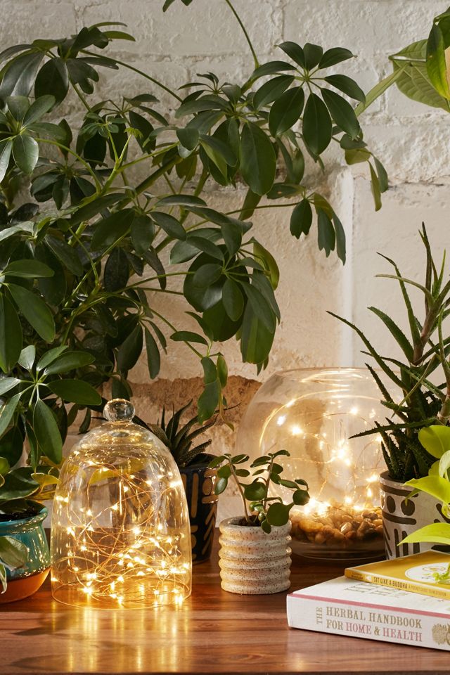 Guirlande lumineuse luciole #2