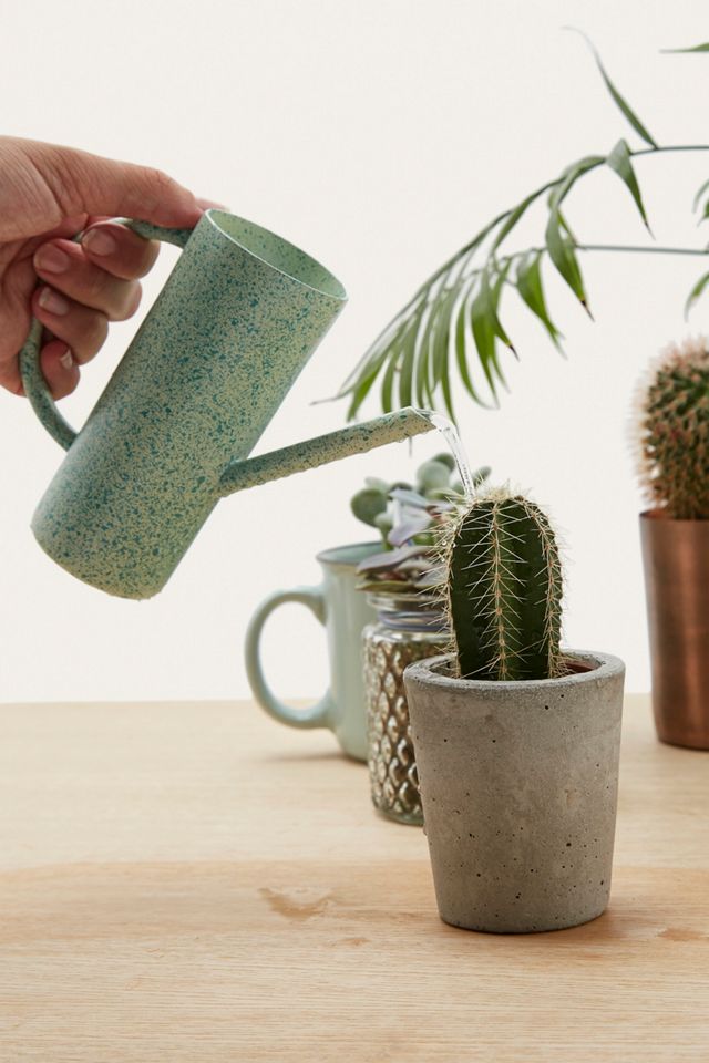 Shift Stainless Steel Watering Can #2