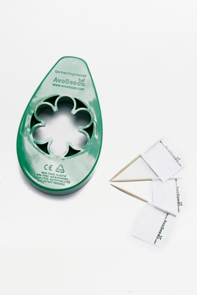 Grow Your Own Avocado Tree Kit #1