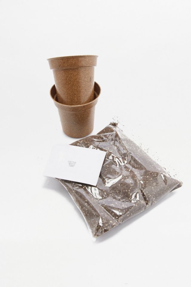 Seed Pantry Cactus Mix Easy Grow Kit #2