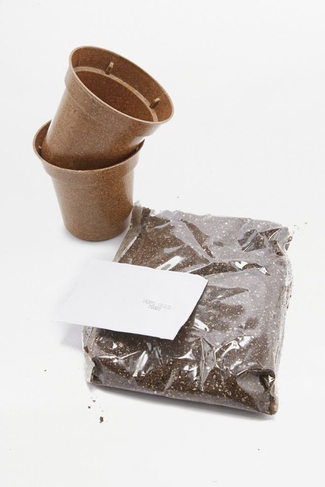 Seed Pantry Craft Beer Easy Grow Kit #2