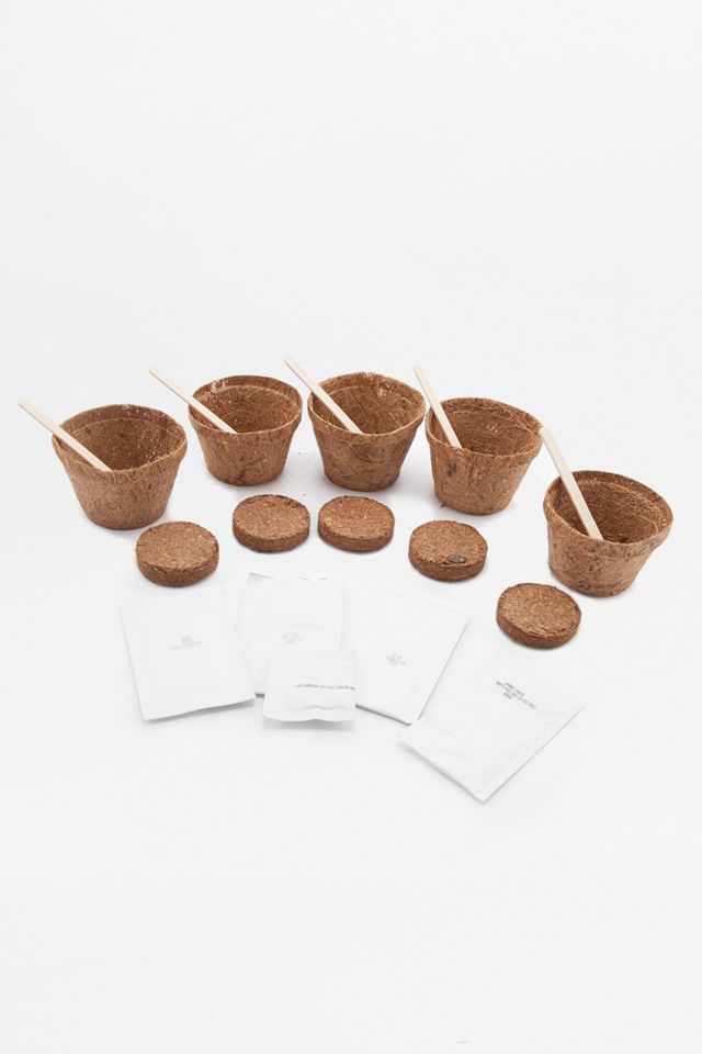 Grow It Super Salad Kit #1