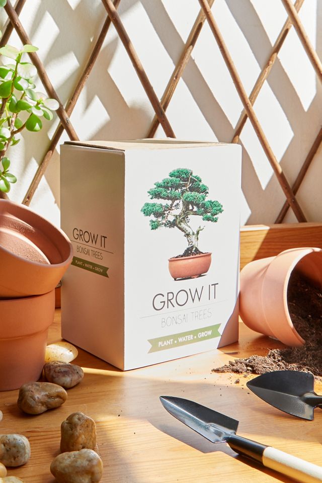 Grow It - Kit de culture pour bonsaï