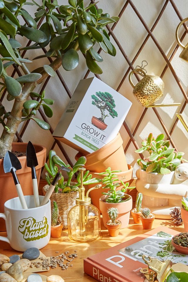 Grow It - Kit de culture pour bonsaï #1