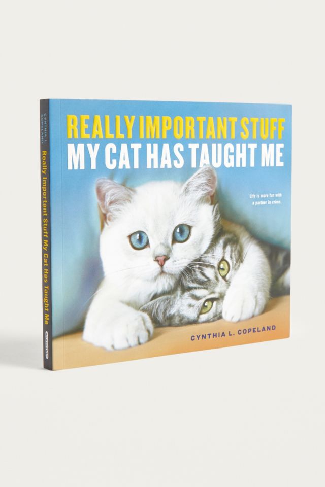 Really Important Stuff My Cat Has Taught Me By Cynthia L. Copeland ...