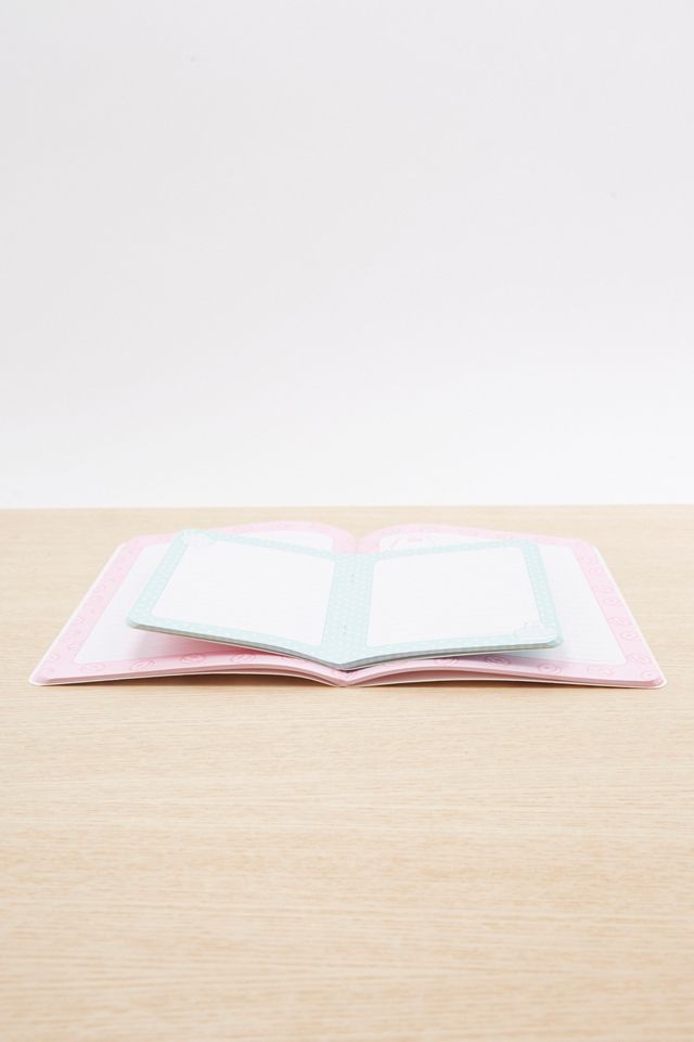 Pusheen Notebook Set #4