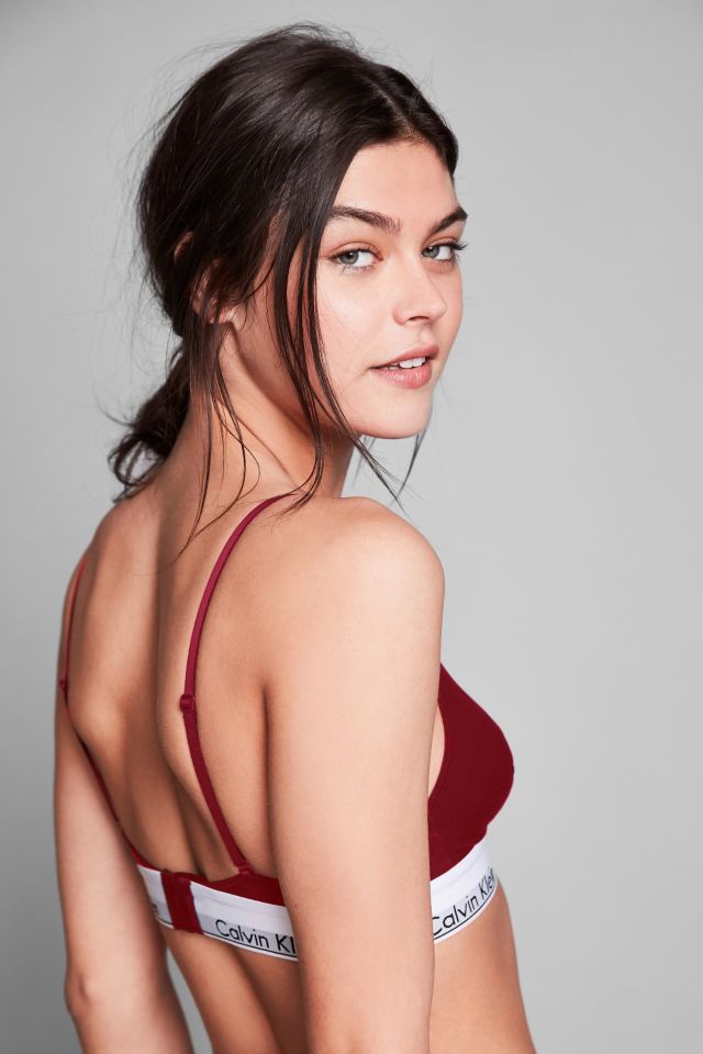 Maroon calvin 2025 klein bra