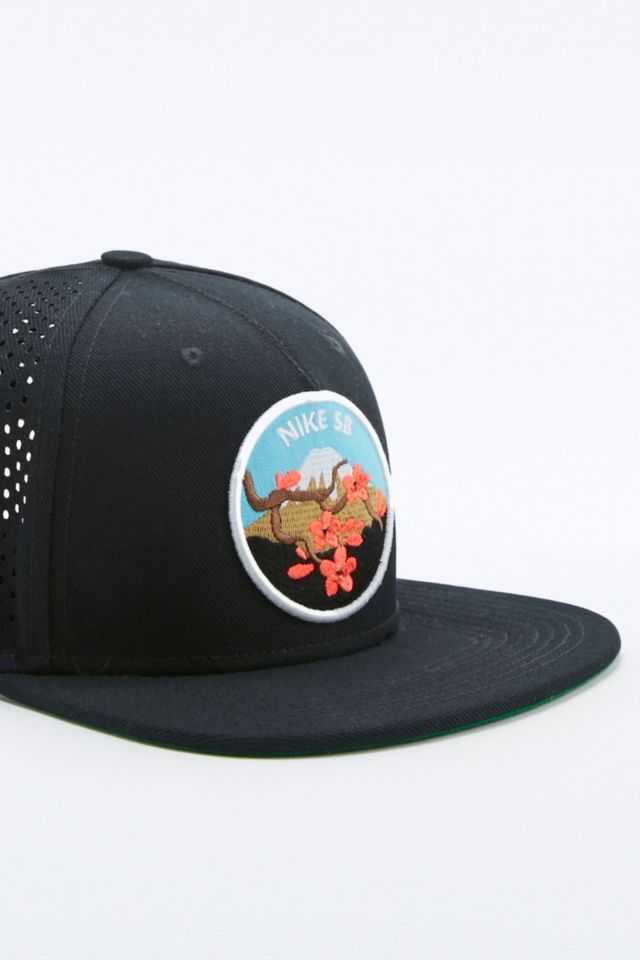 Nike sb hot sale cherry blossom hat